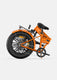 EP-2 Boost Electric Bike