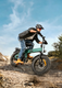 ENGWE EP-2 3.0 Boost E-Bike