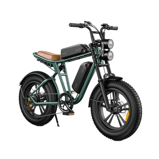 M20 Motorcycle-styled Electric Bike